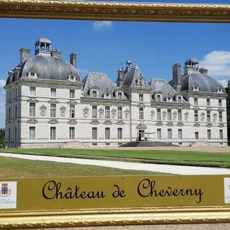 Les Capucines Proche Beauval & Chateaux Saint-Aignan  Exterior foto