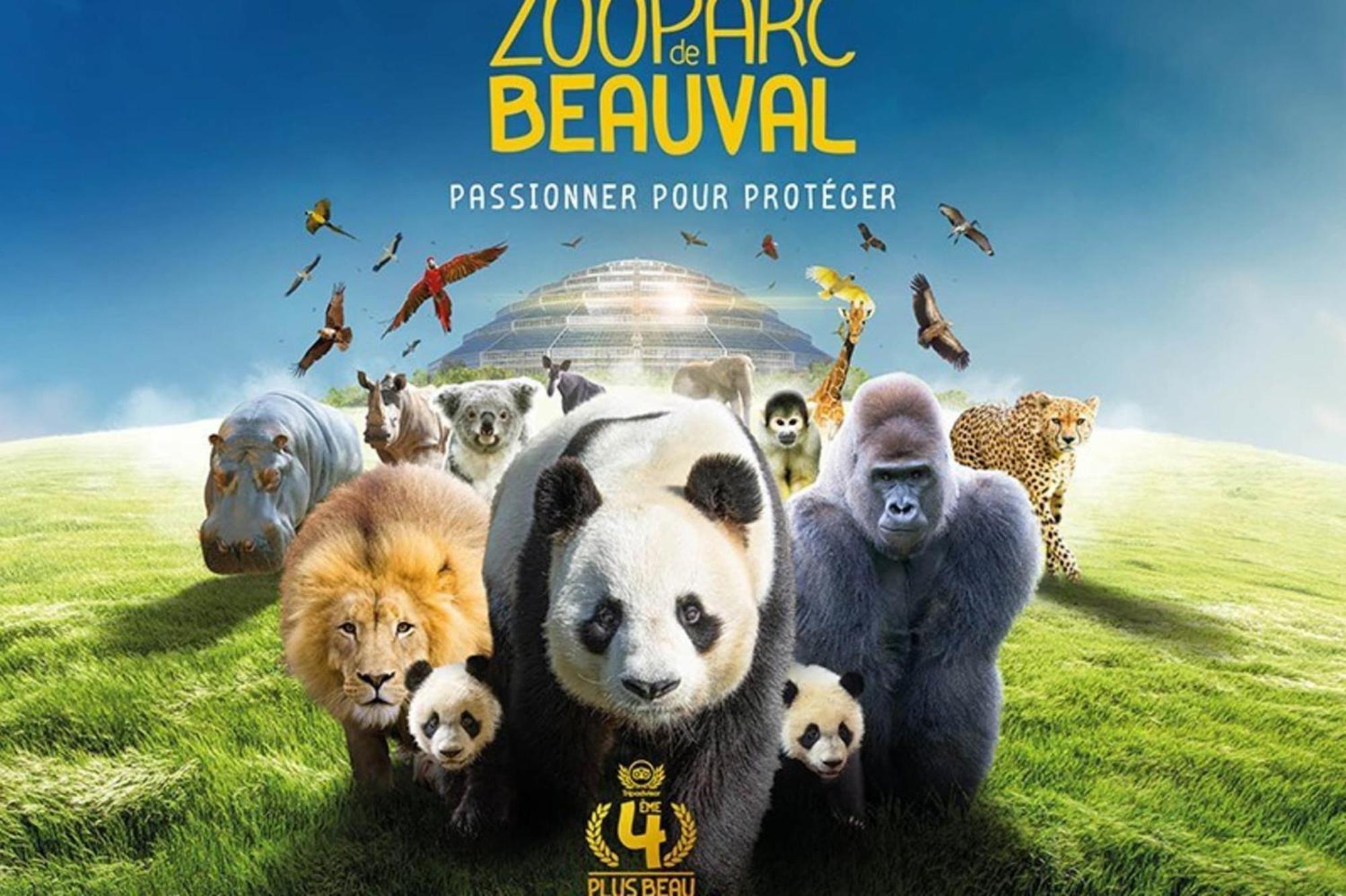 Les Capucines Proche Beauval & Chateaux Saint-Aignan  Exterior foto